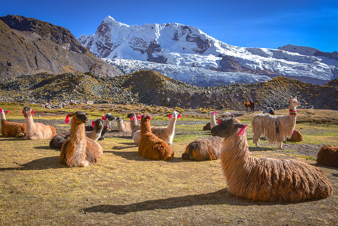 Viva uma experi&ecirc;ncia transformadora nas montanhas do Peru